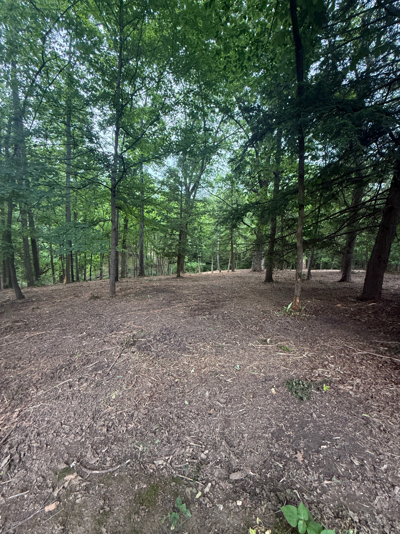Cleared Ohio property after forestry mulching and brush clearing